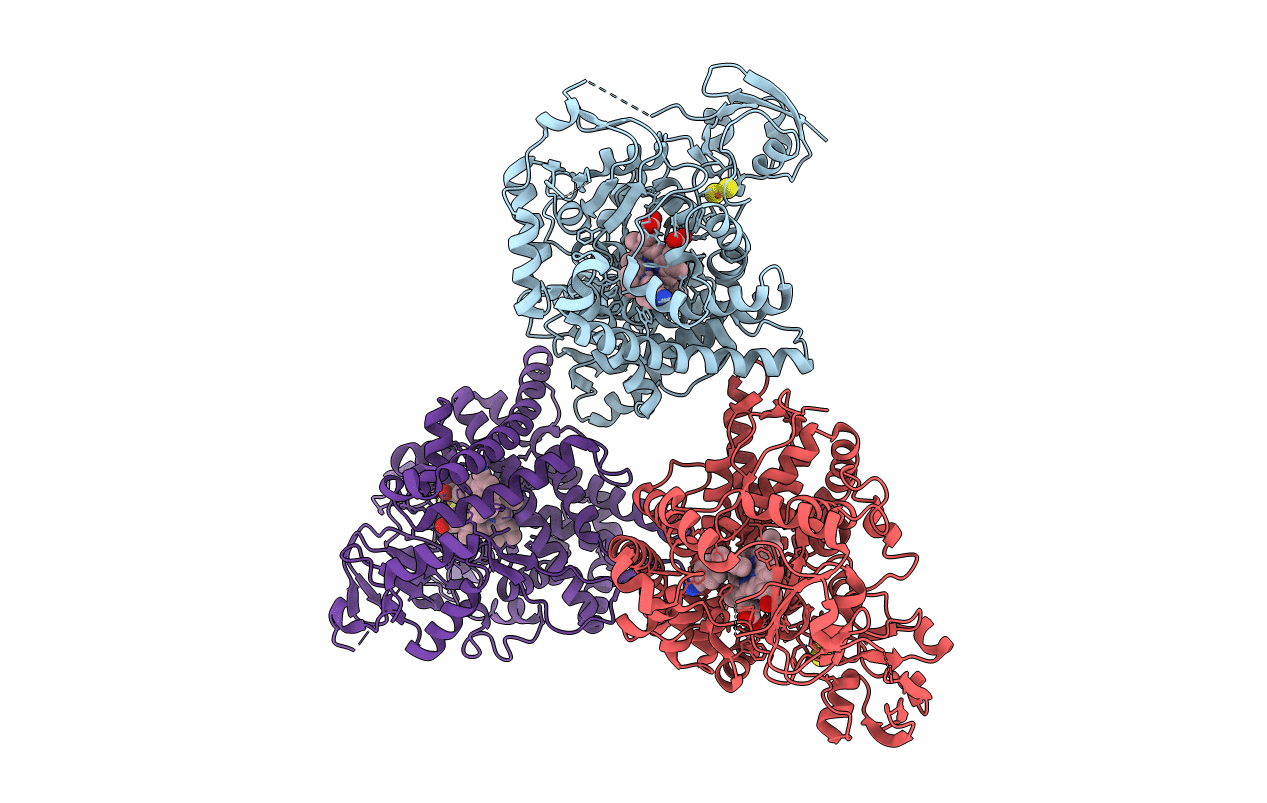 7M8I image