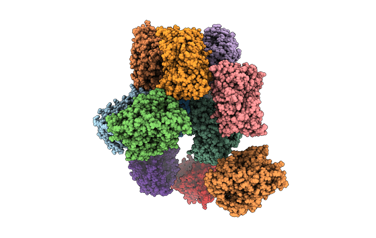 7M8V image