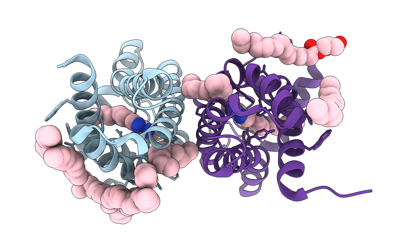 7M95 image
