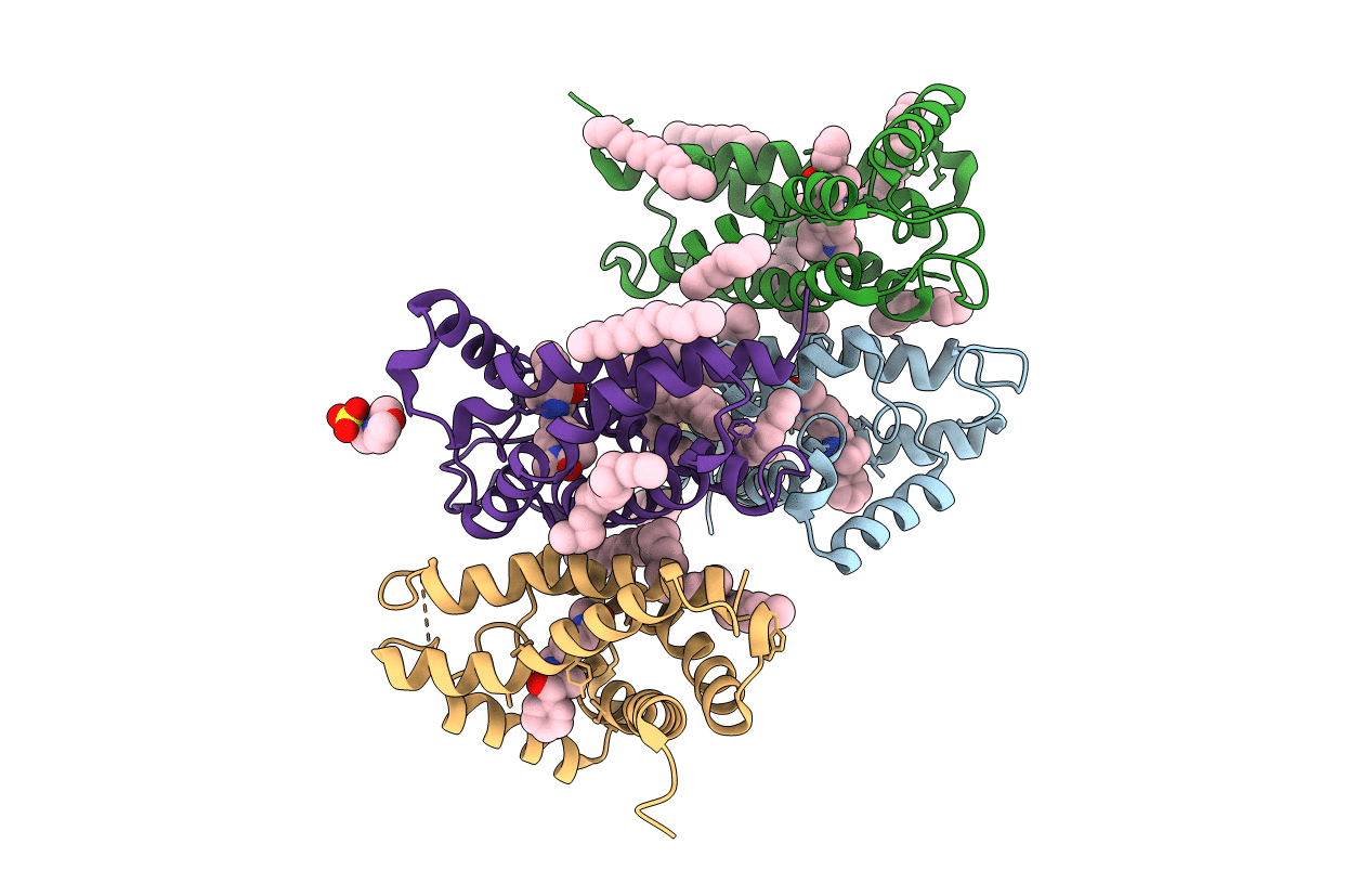 7M96 image