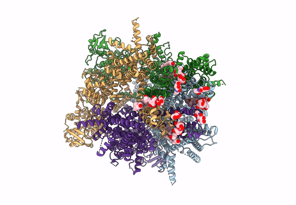 7MBS image