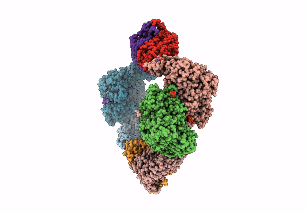 7MDI image