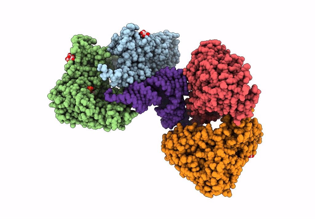7MDL image