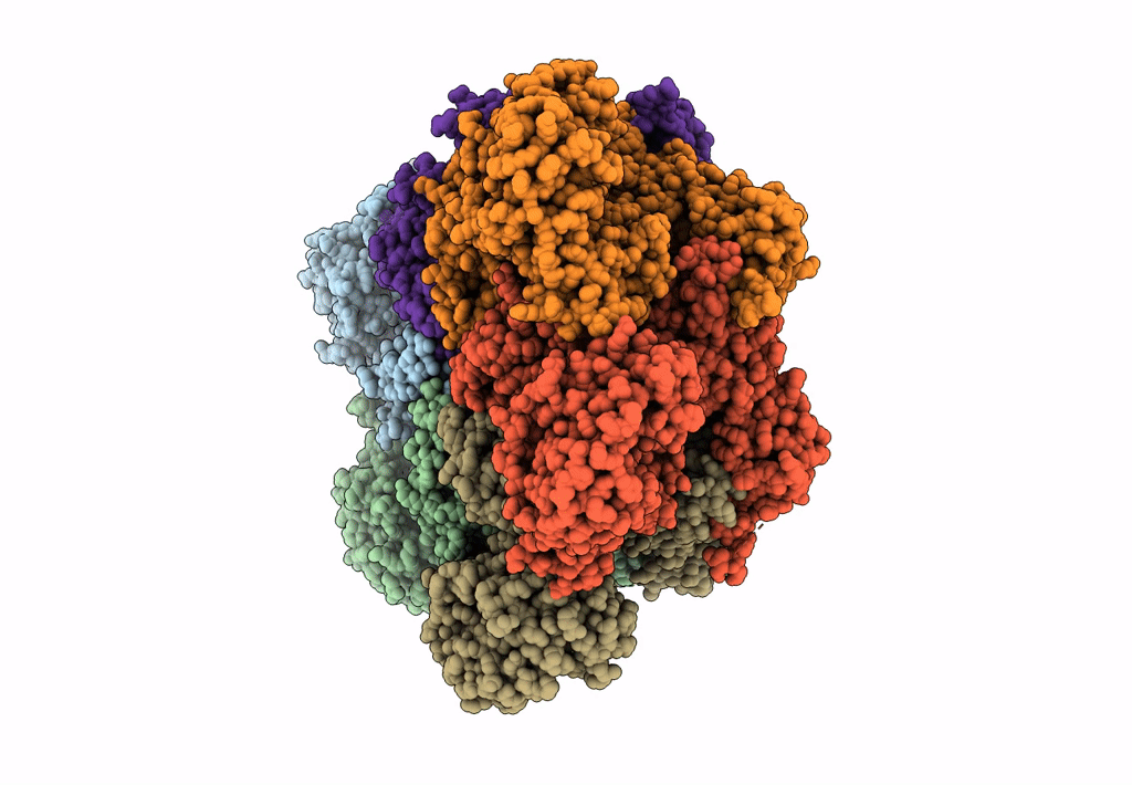 7MDM image