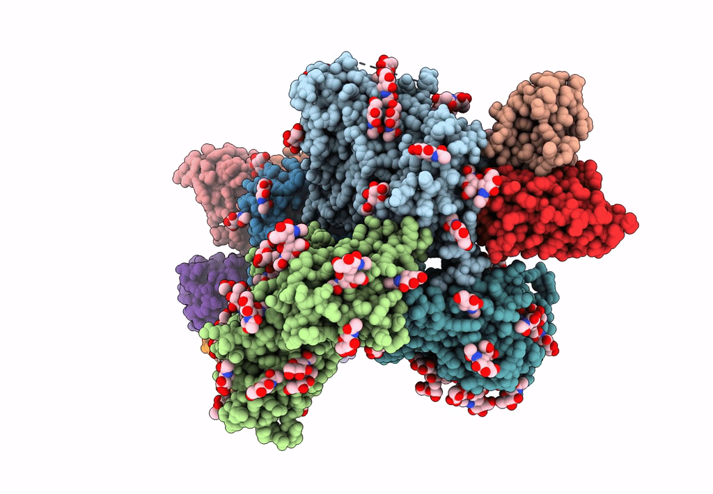 7MEP image