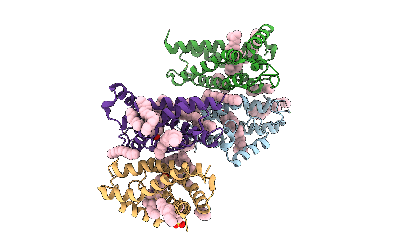 7MFI image