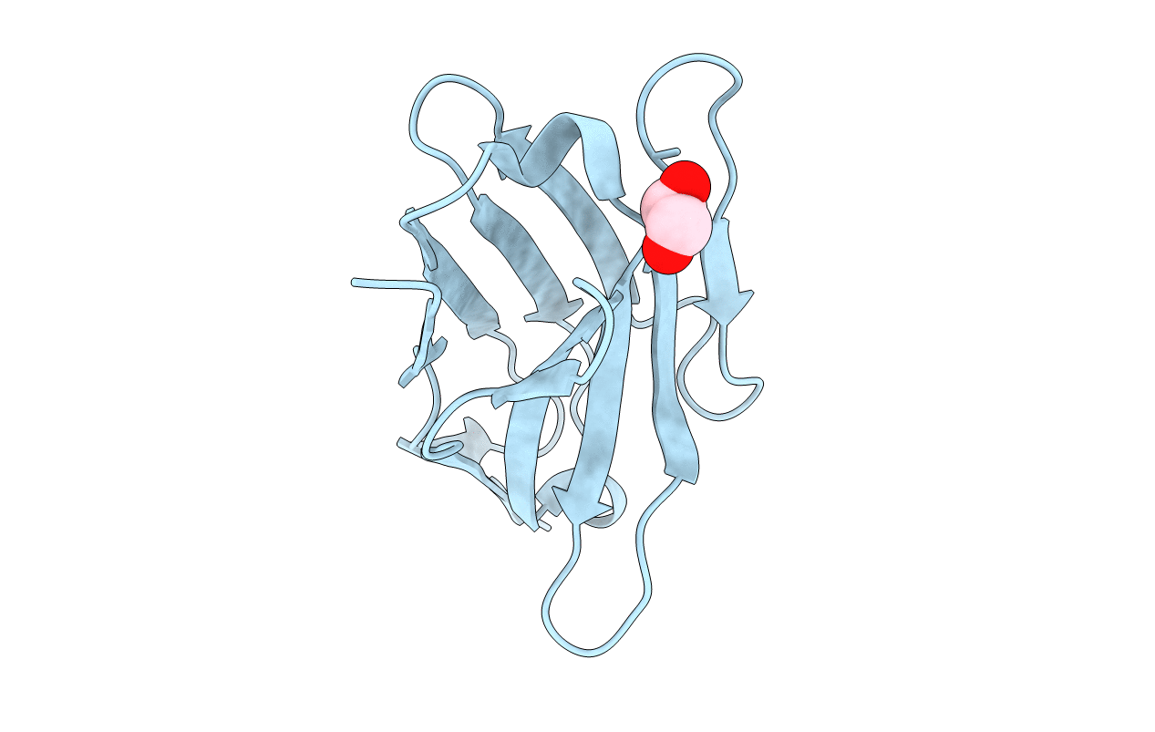 7MFV image