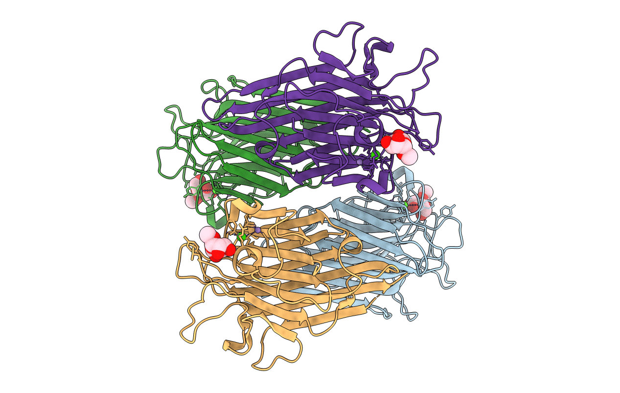 7MGC image