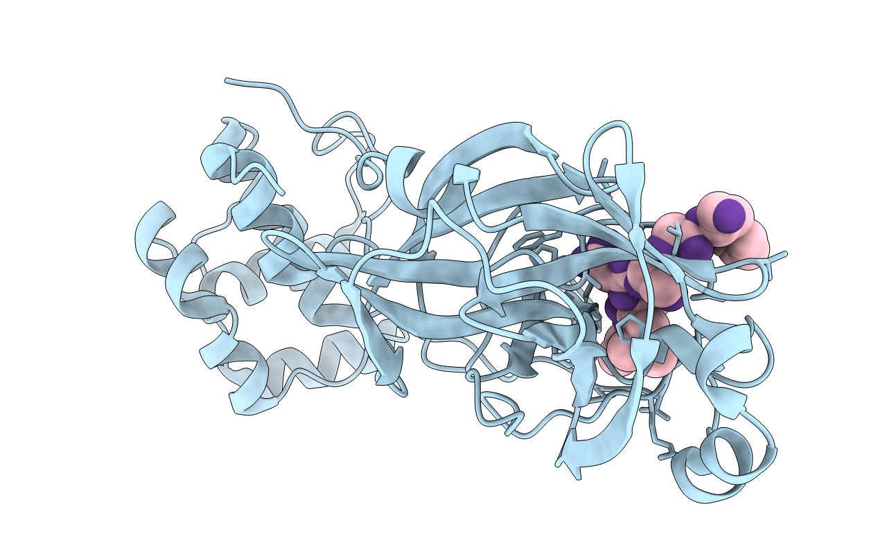 7MGS image
