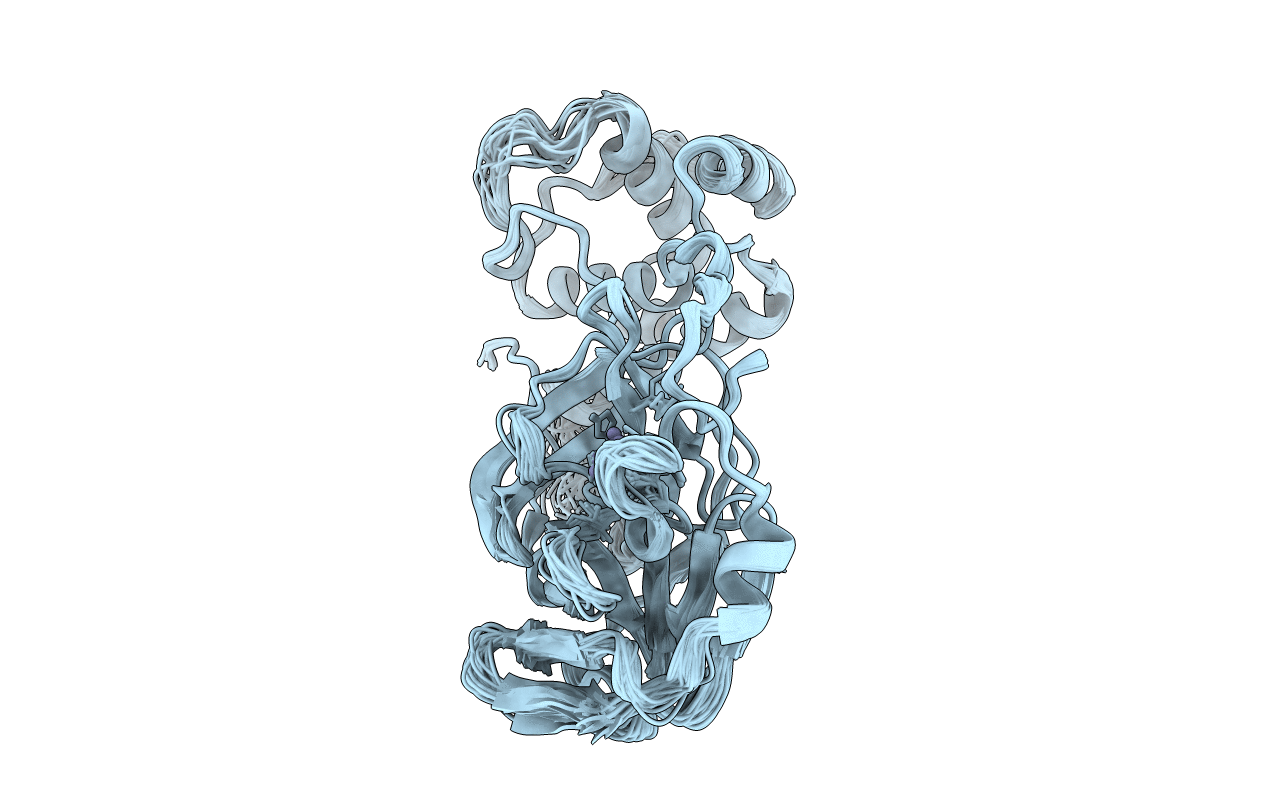 7MHP image