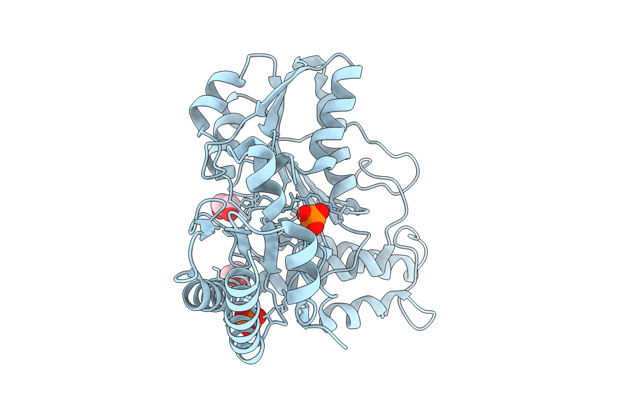 7MHV image