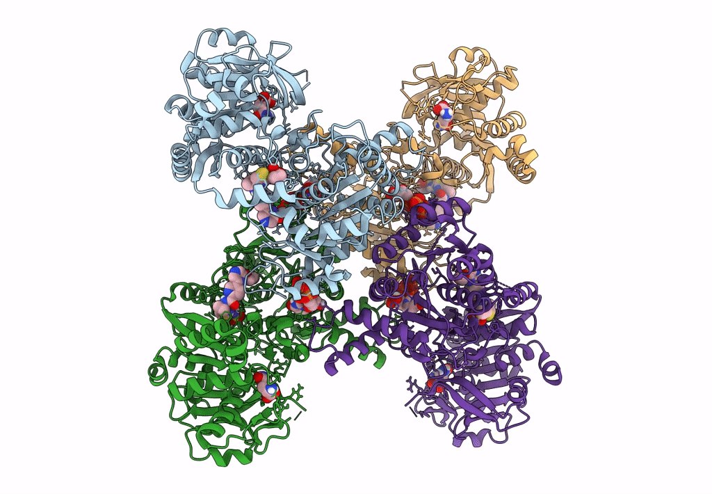 7MIV image