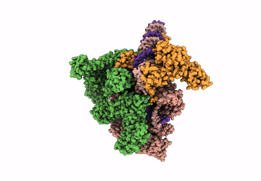 7MKI image
