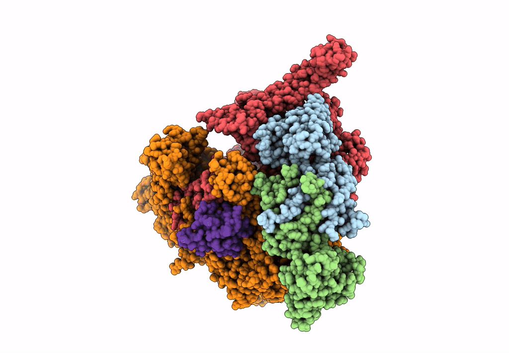 7MKP image