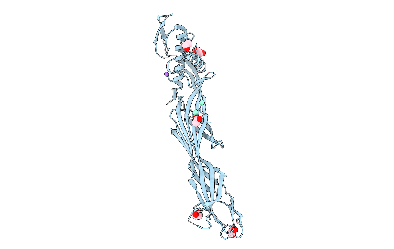 7ML9 image