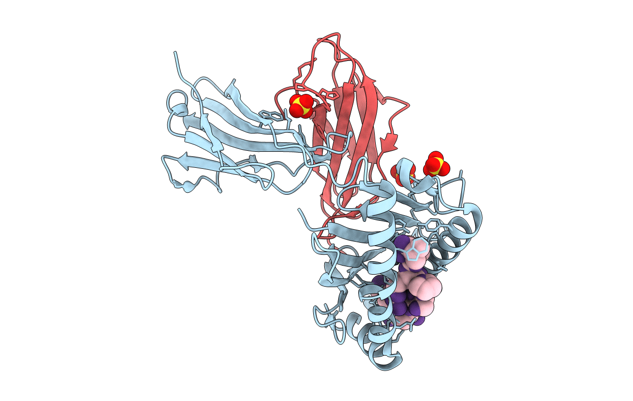7MLE image