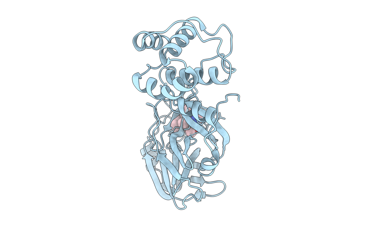 7MLF image