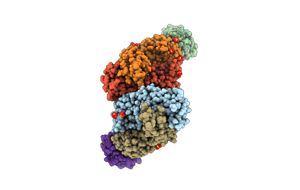 7MLH image