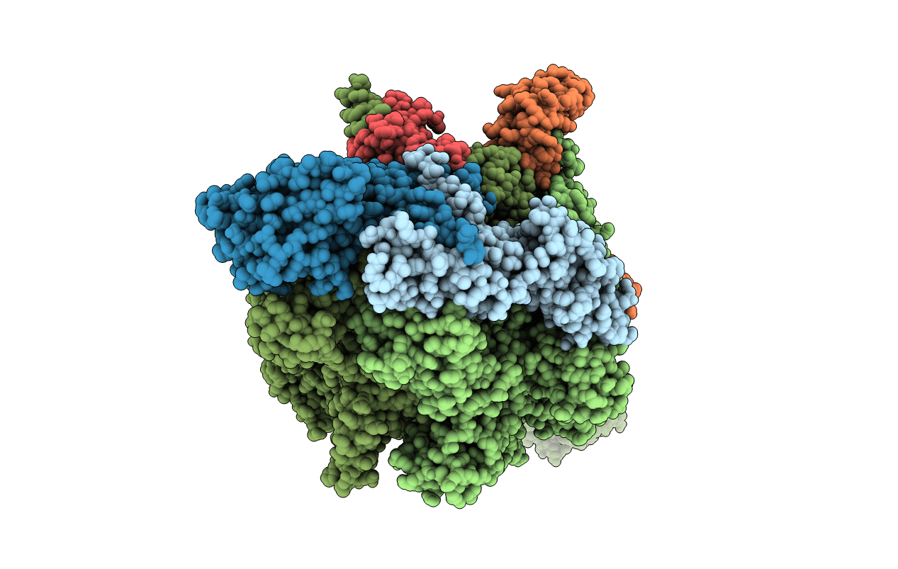7MLI image