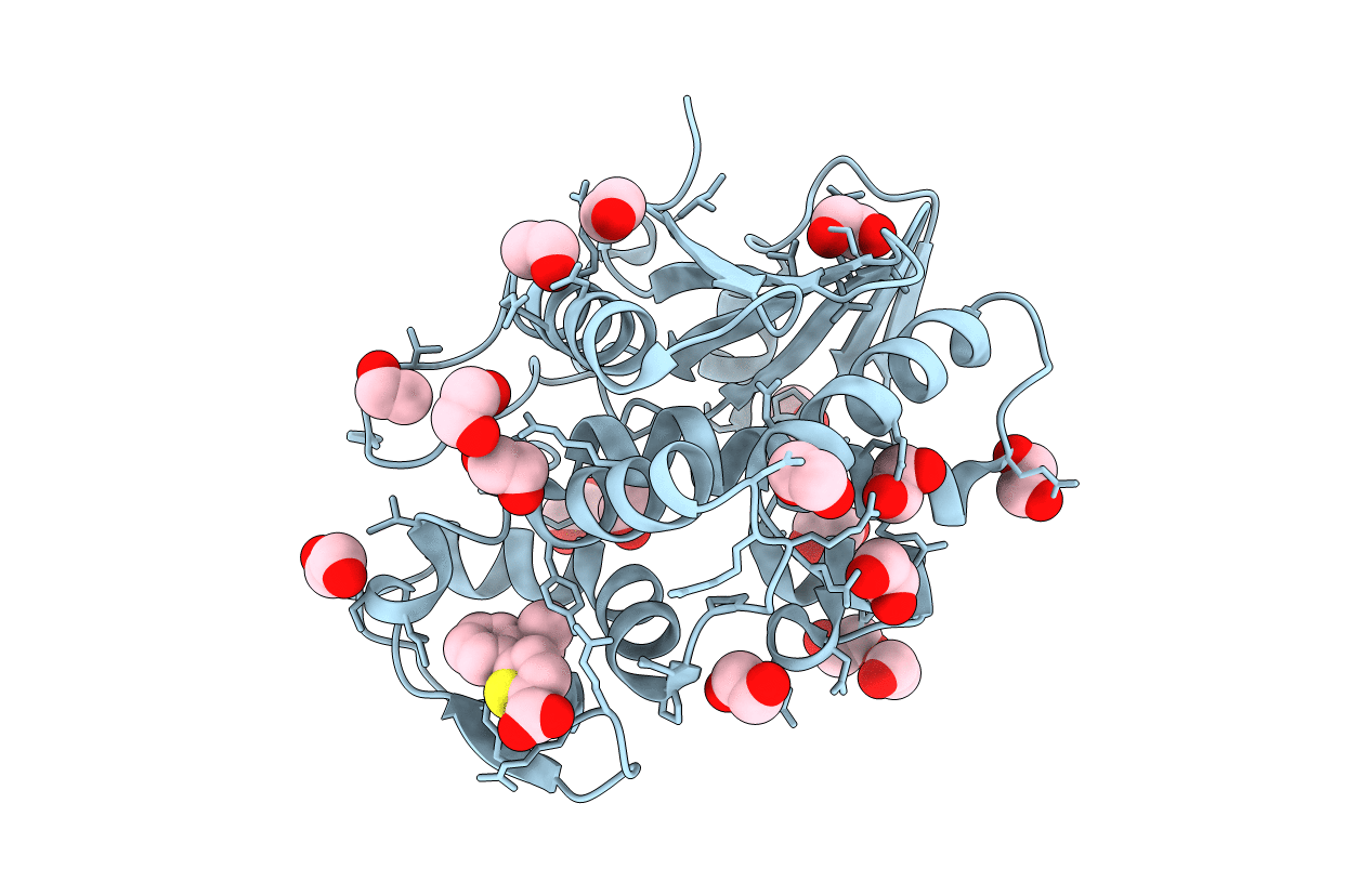 7MLT image