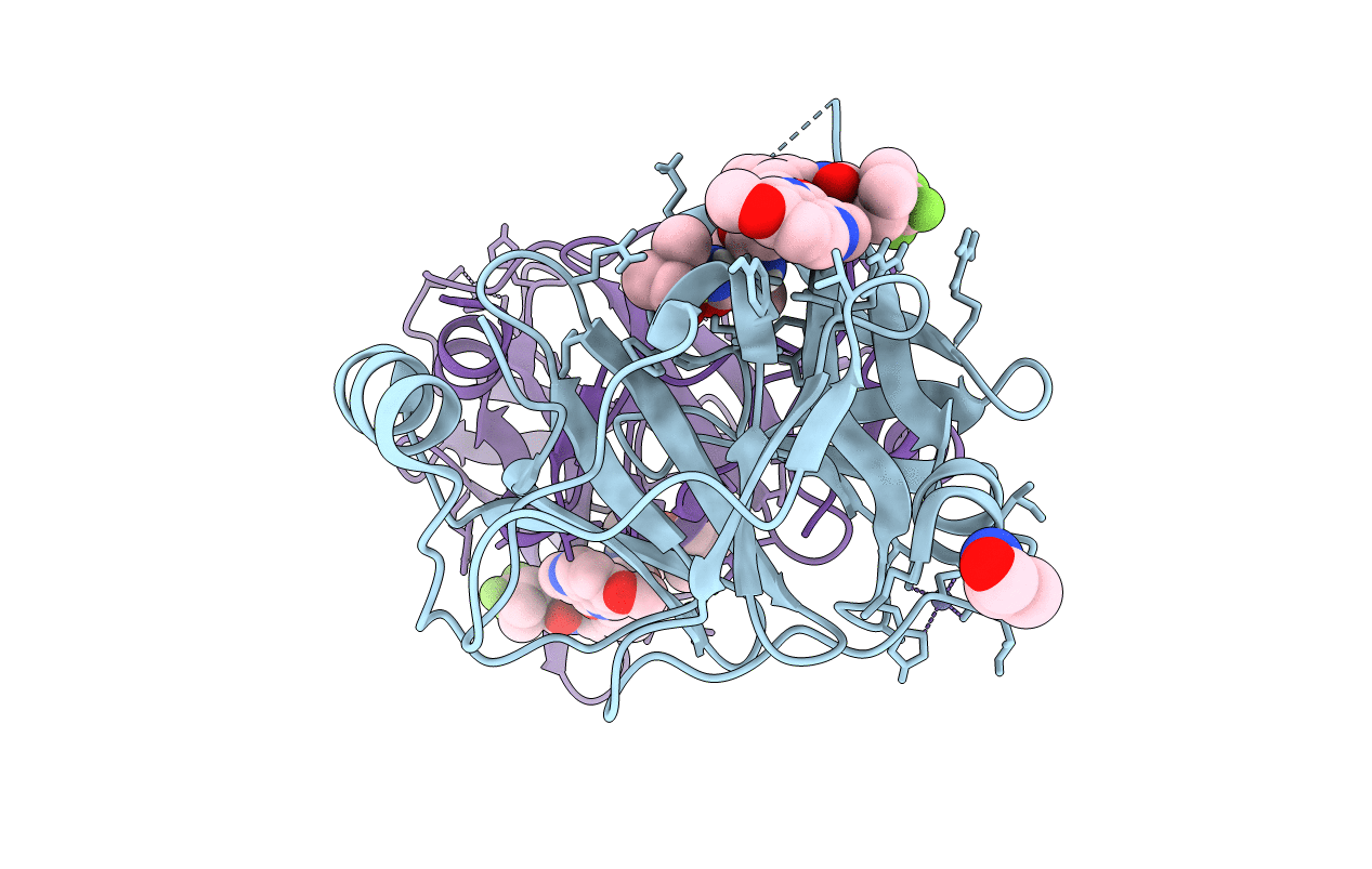 7MMG image