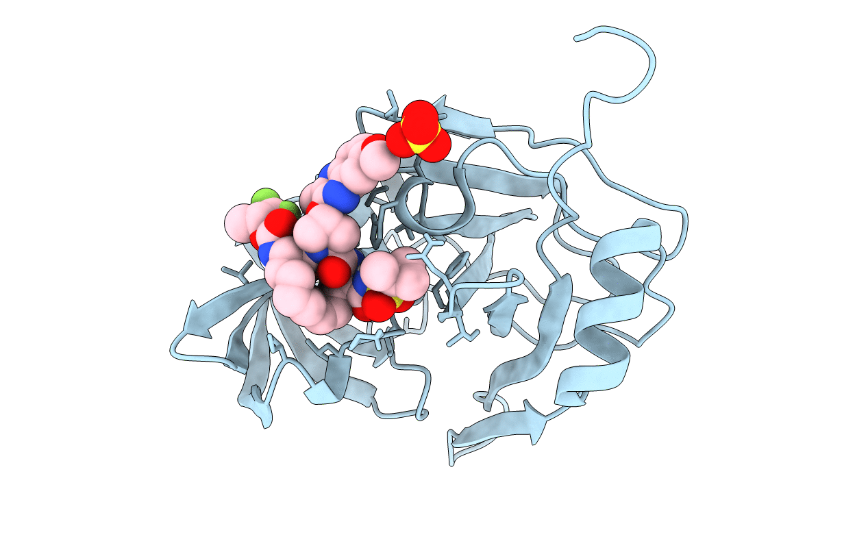 7MML image