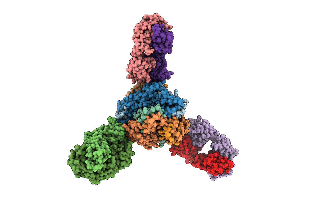 7MMN image