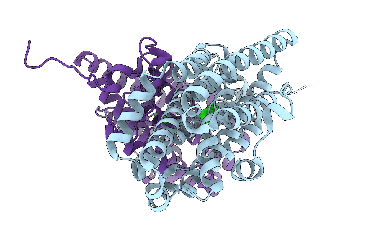 7MMU image