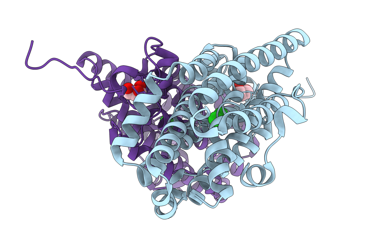 7MMV image