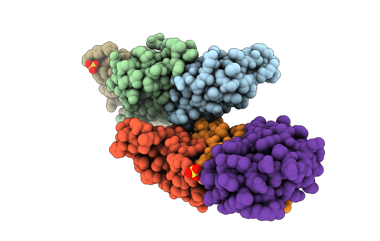 7MMX image