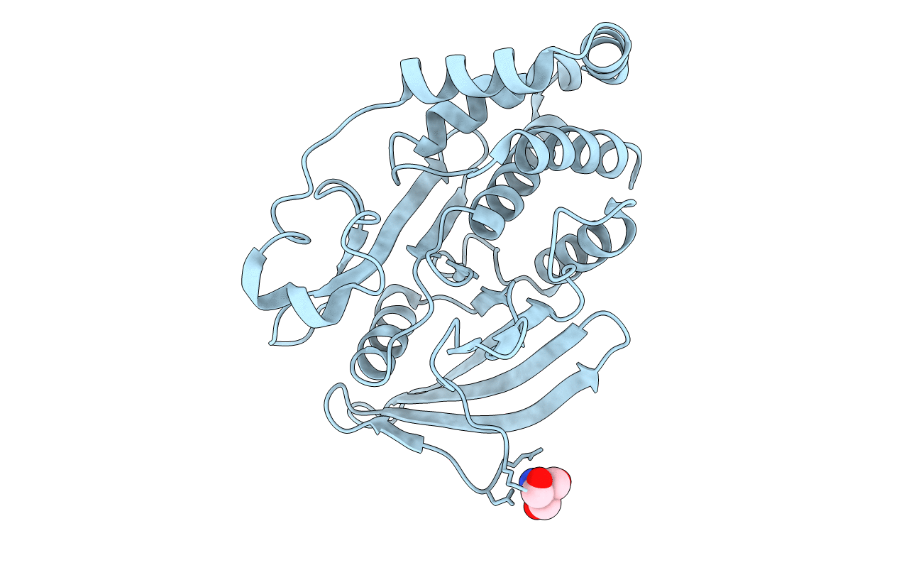 7MNC image