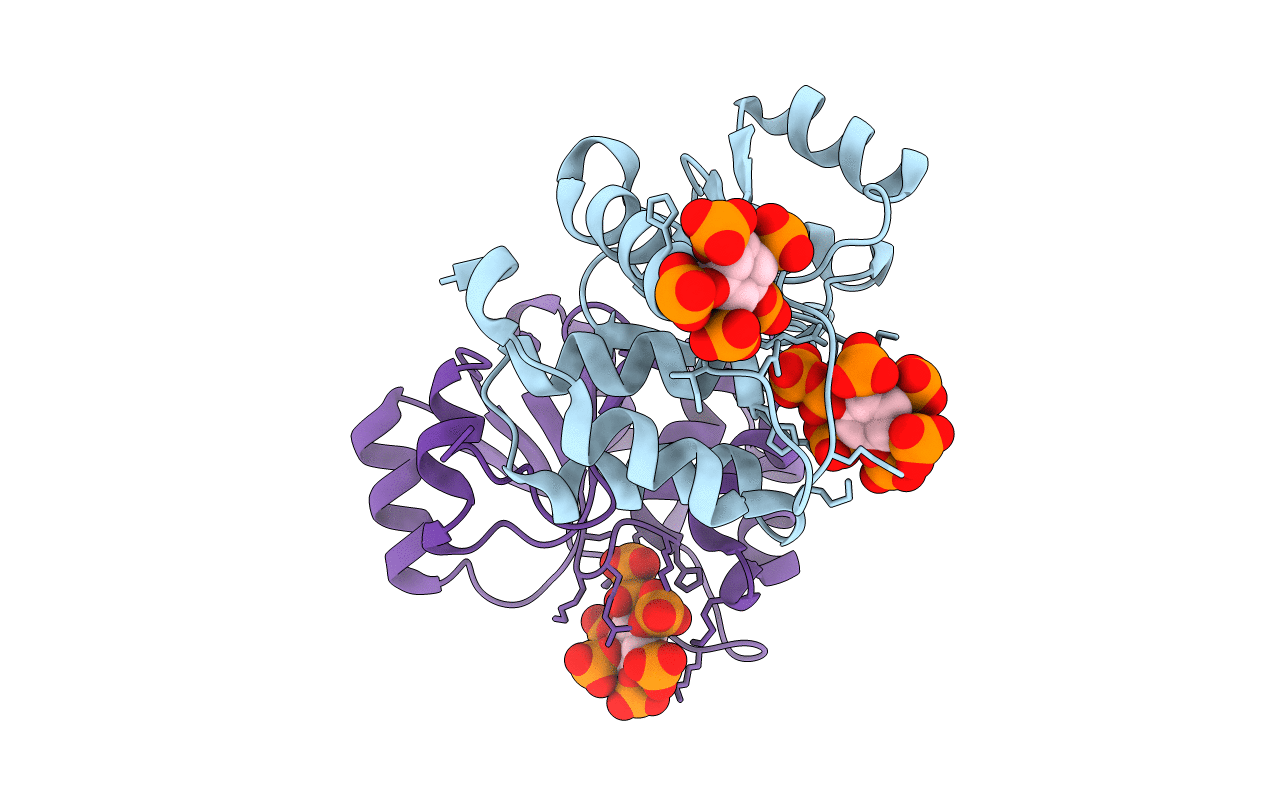 7MOF image