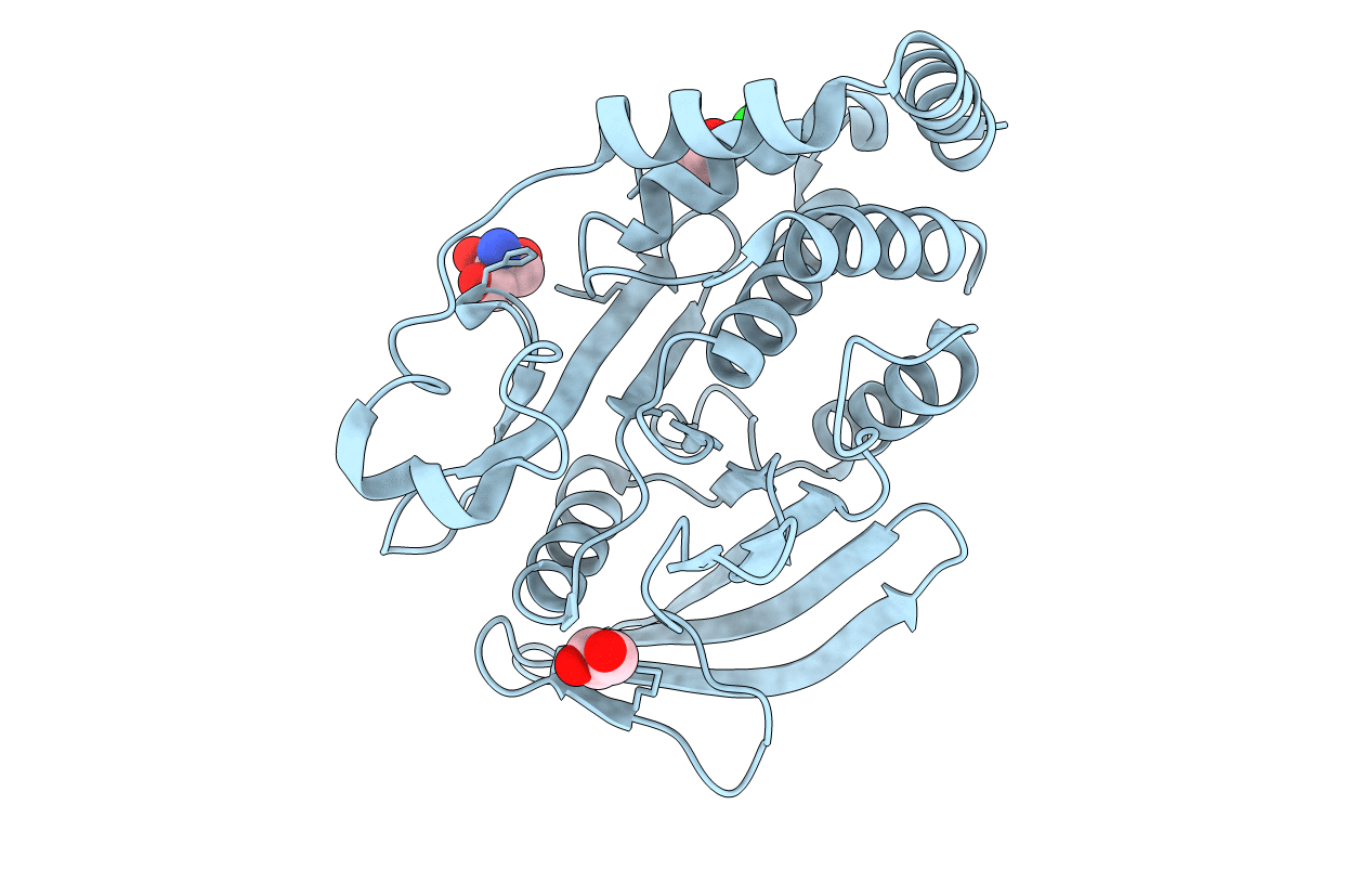 7MOU image