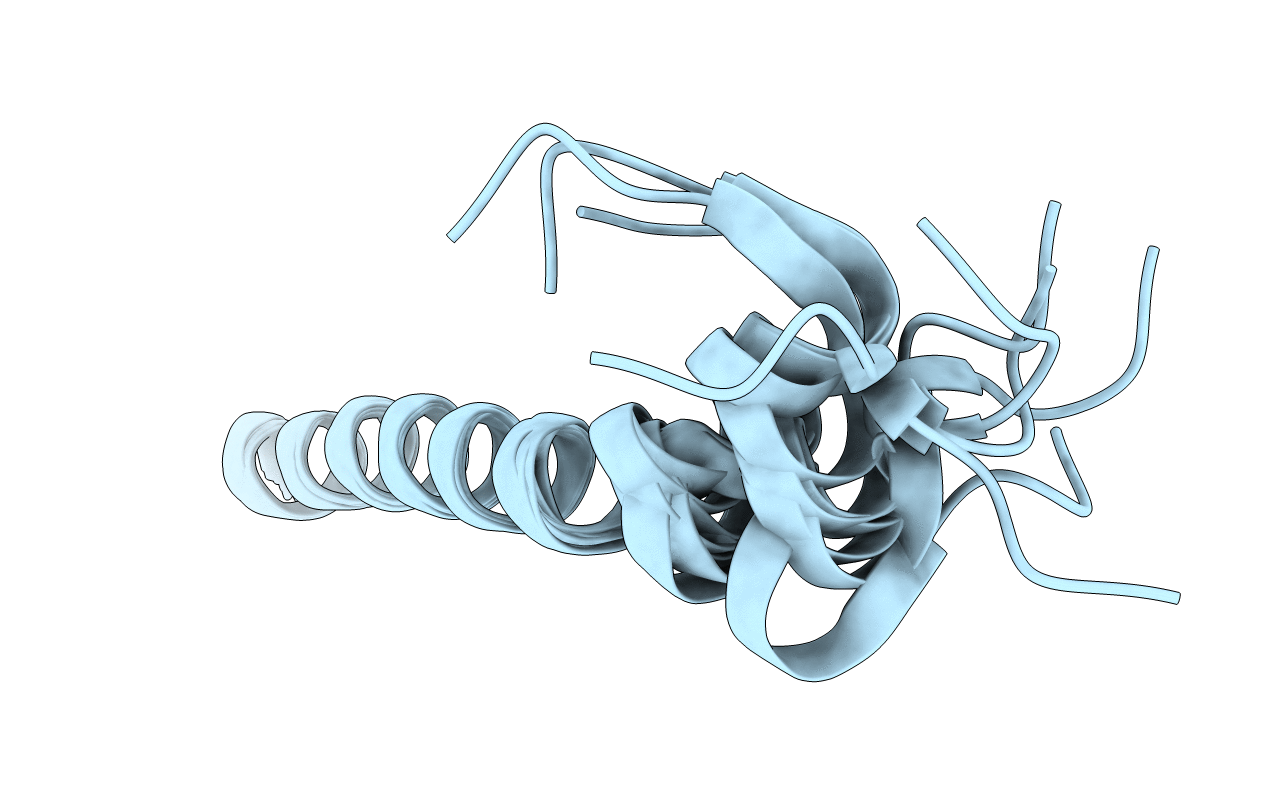 7MPA image