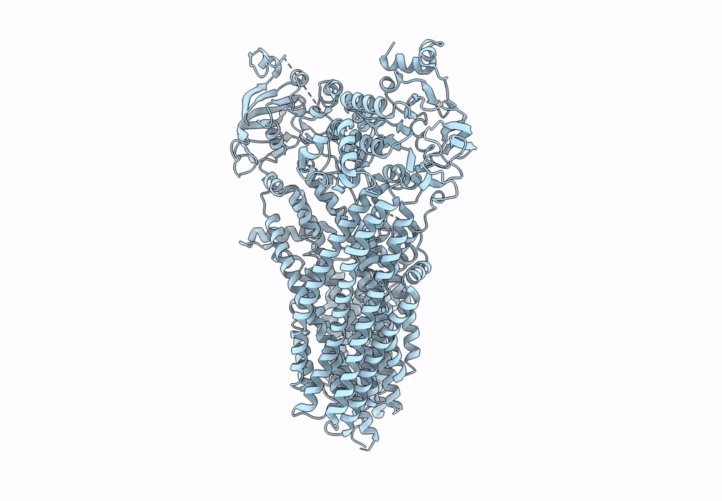 7MPE image