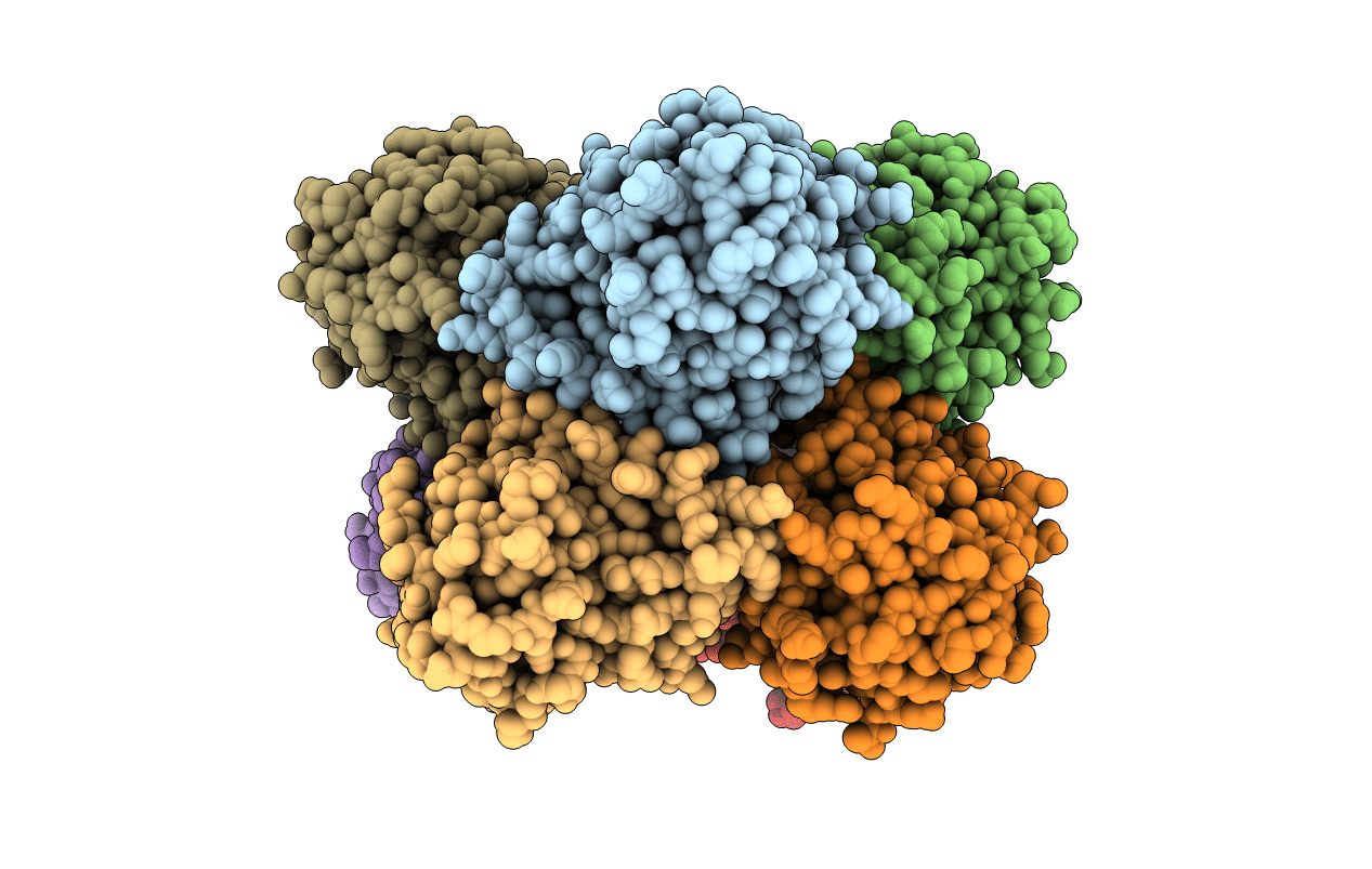 7MPN image