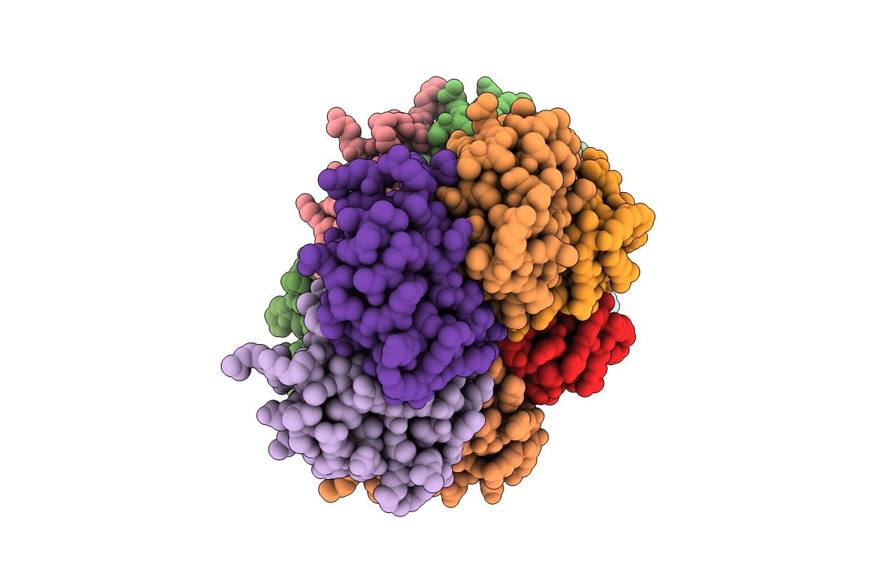 7MPV image