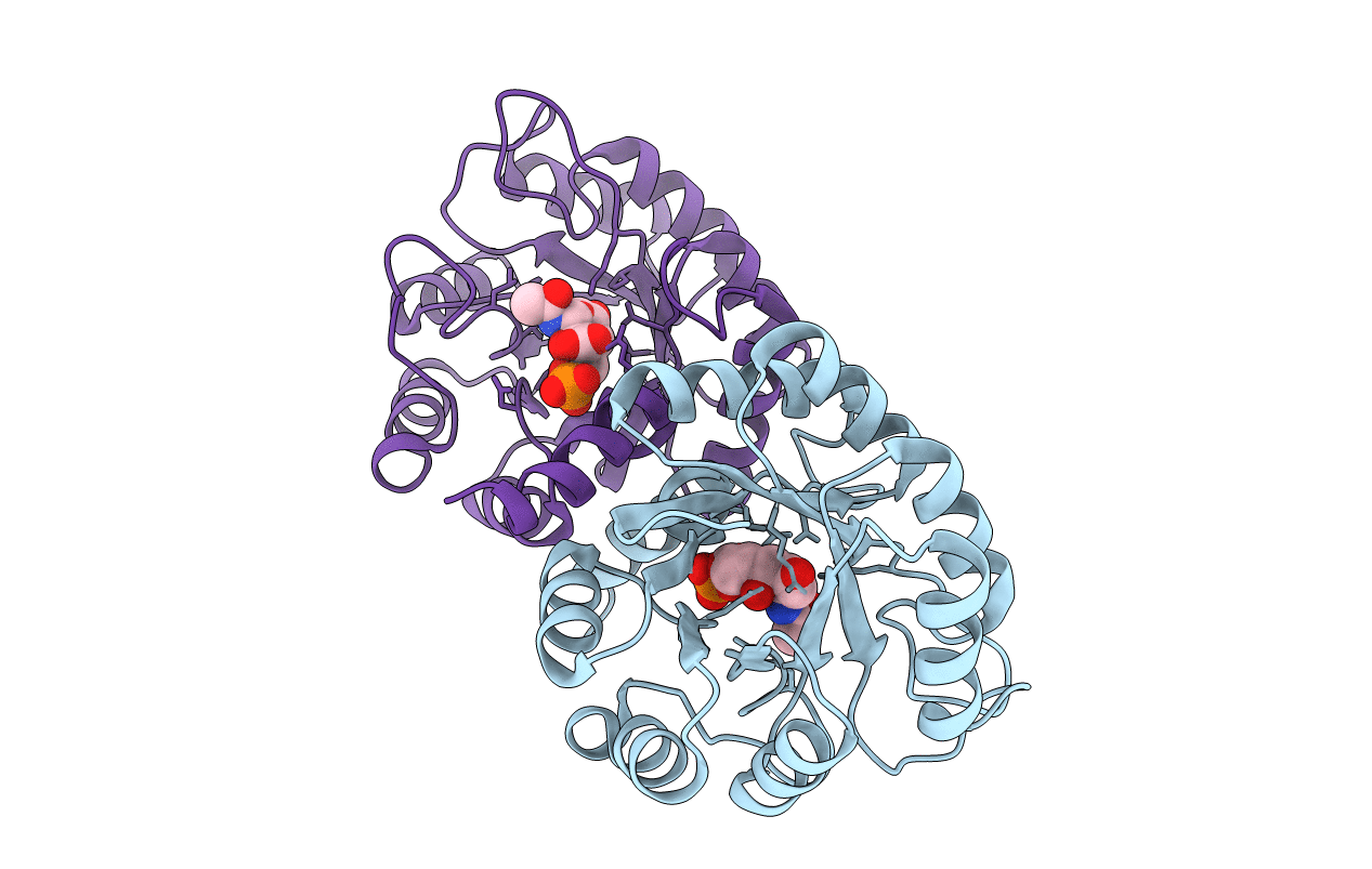 7MQT image