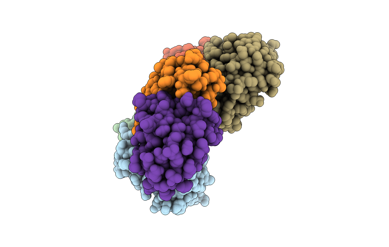 7MRX image