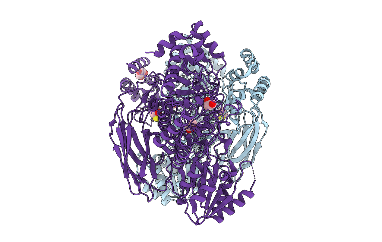 7MS2 image