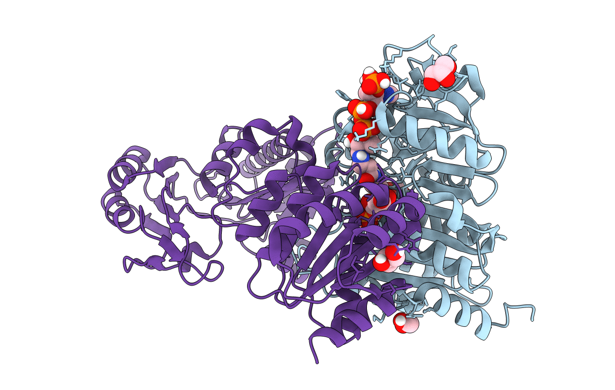 7MSR image