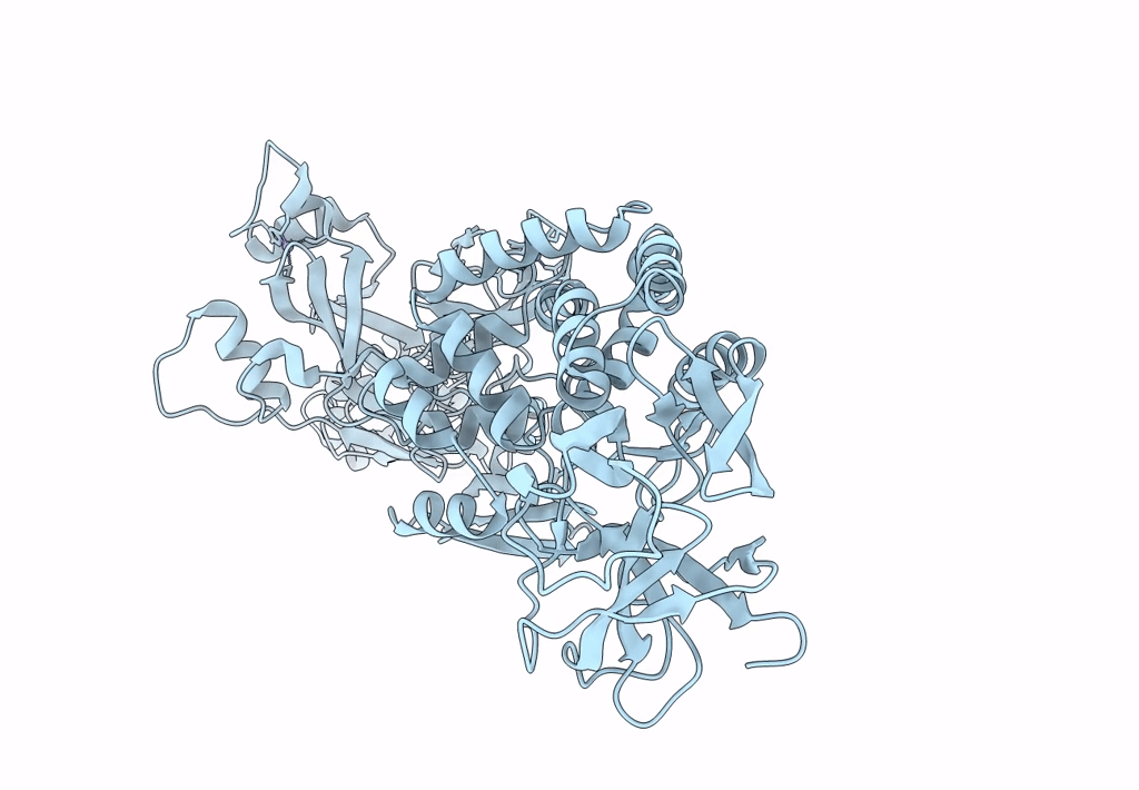 7MSW image