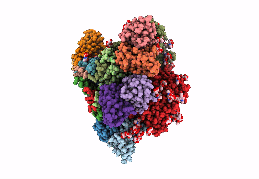 7MXE image