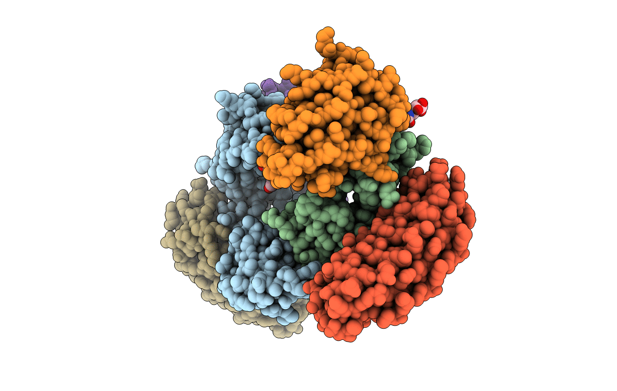 7MXI image