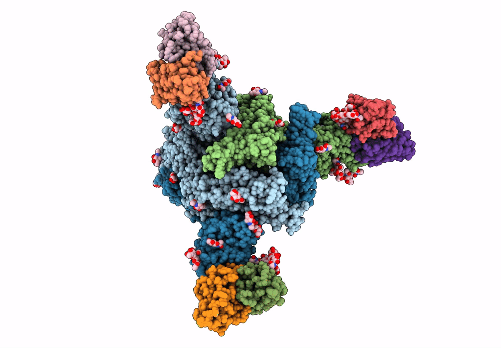 7MXP image