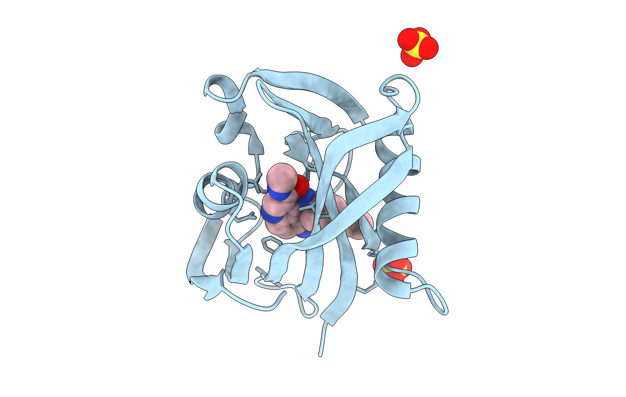7N03 image