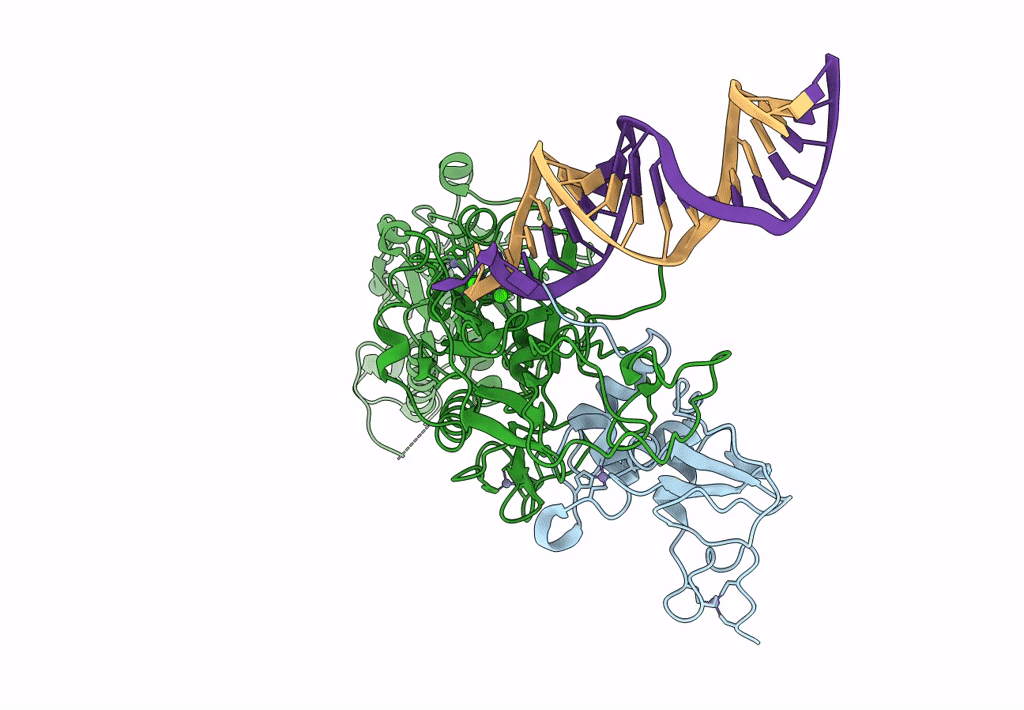 7N0B image
