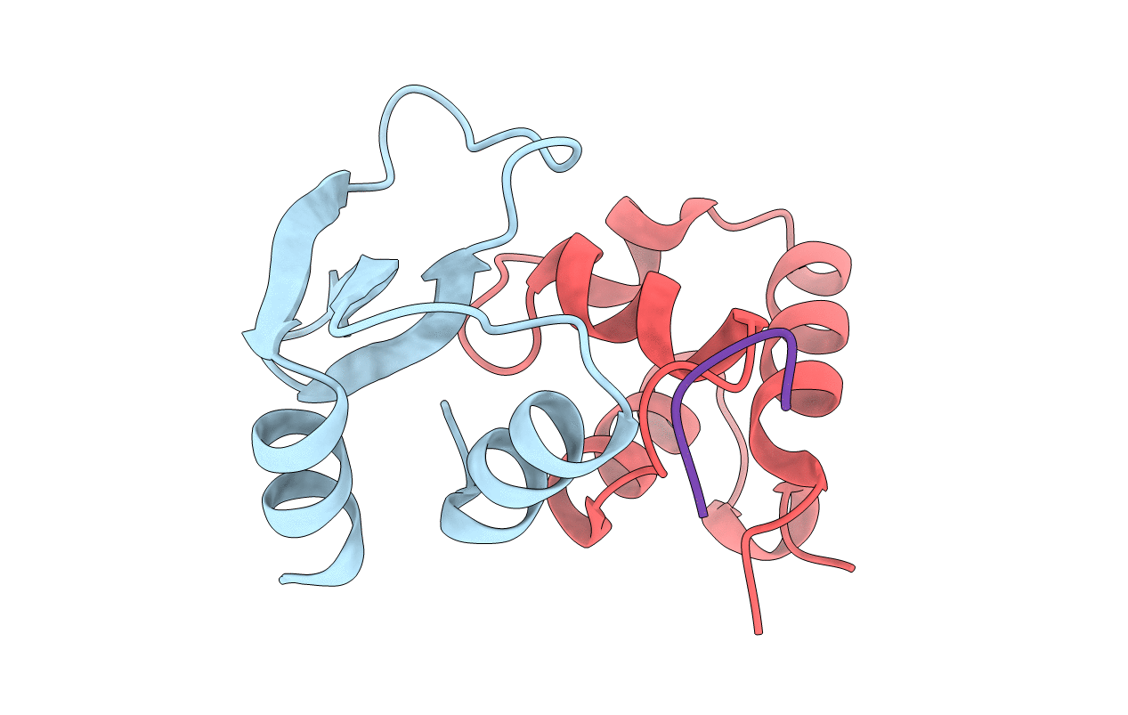 7N10 image