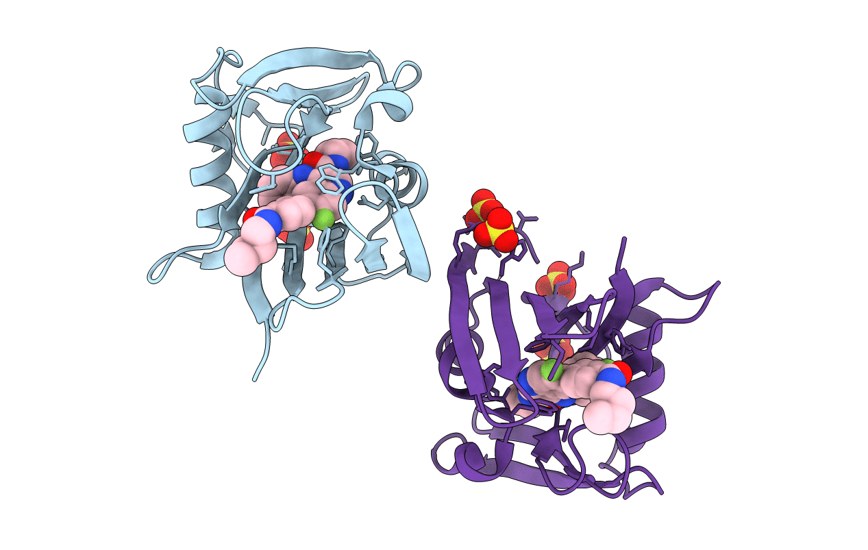 7N13 image