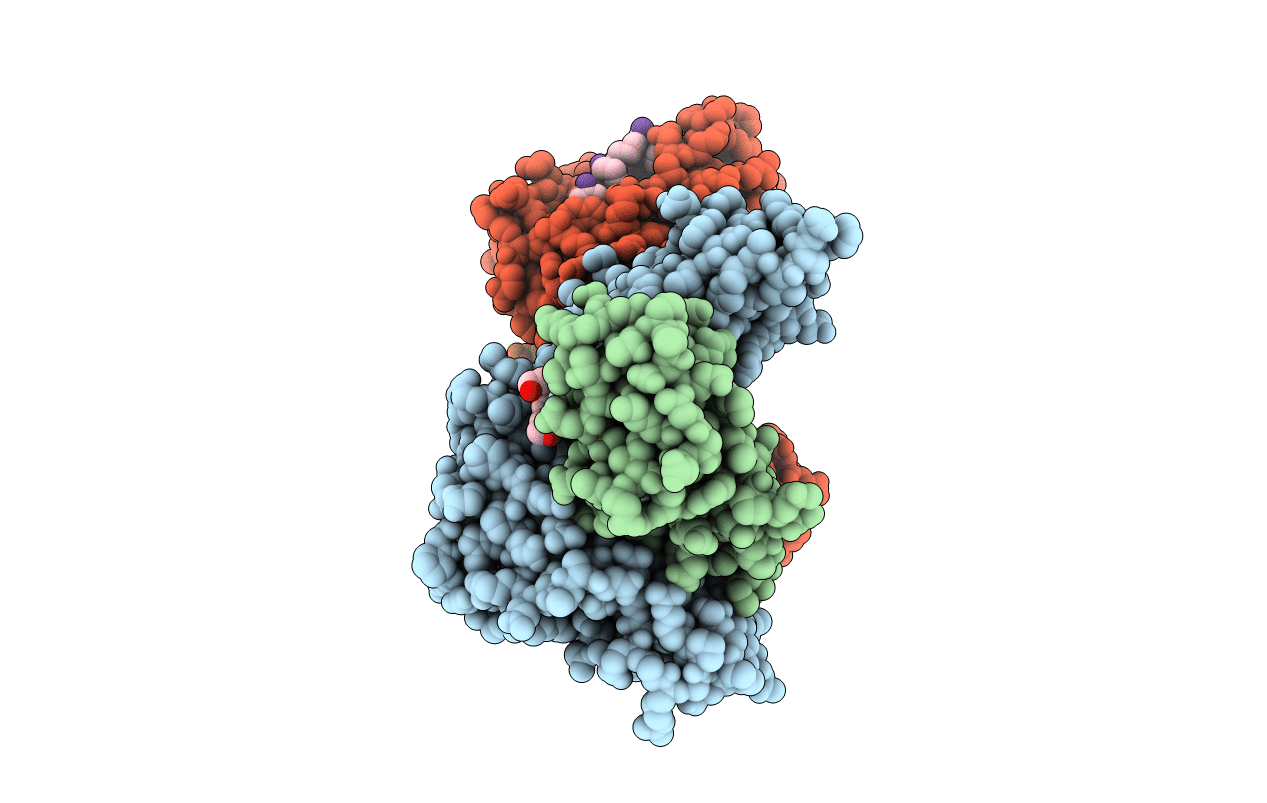 7N1A image